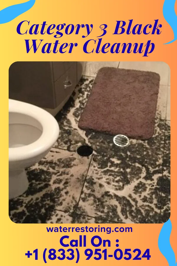 Category 3 Black Water Cleanup in Brewster, NY
