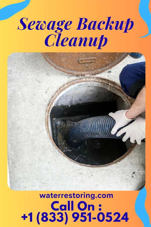 Sewage Backup Cleanup in Brewster, NY