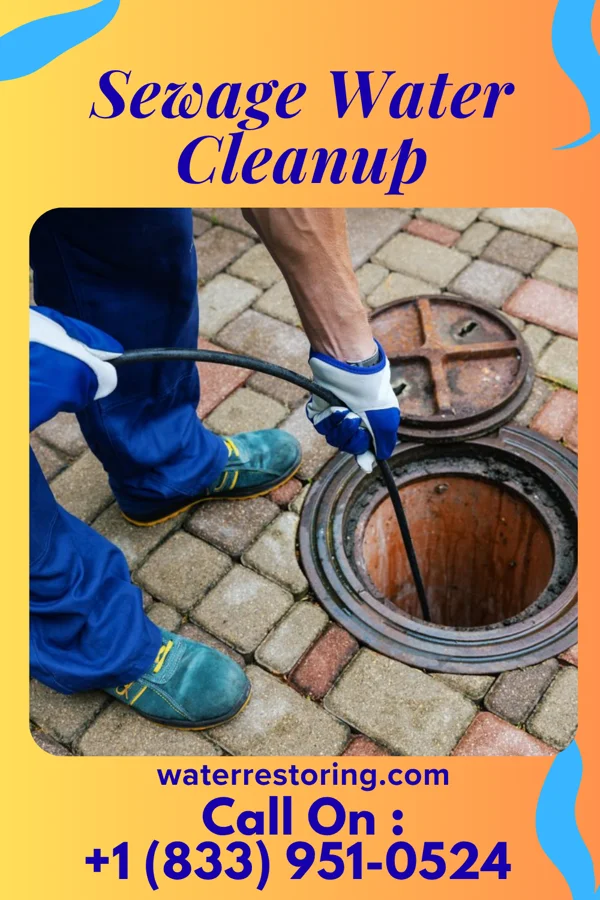 Sewage Water Cleanup in Brewster, NY